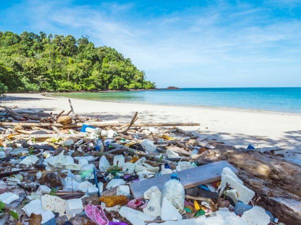 WWF_Deutschland_Plastikm++ll